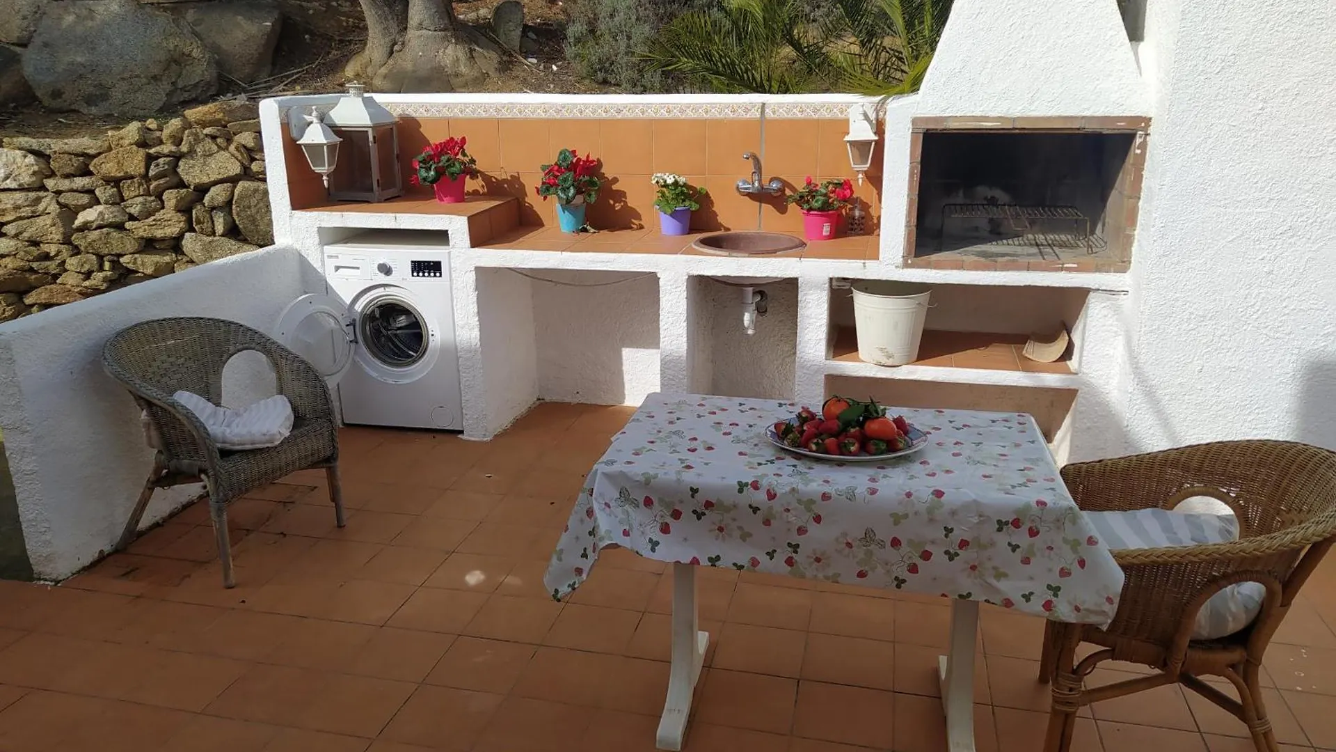 Bramer 6 Canyelles Roses